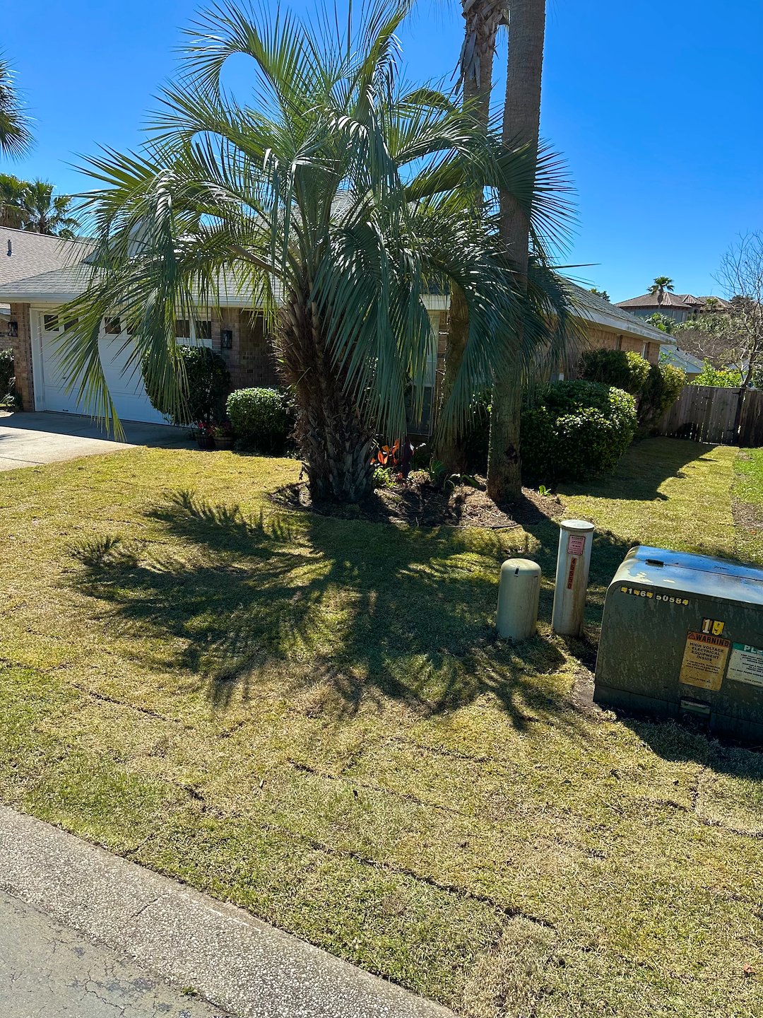 Skip the Seed, Get Instant Green! Professional Sod Installation, Fast! 🌱